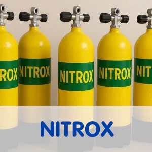 Nitrox Basic Diver