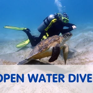 Open Water Diver