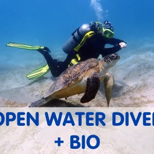 Open Water Diver plus BIO